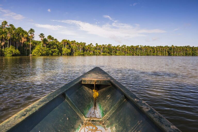 Canoe boat trip on Sandoval Lake, Tambopata National Reserve, Amazon Jungle of Peru, South America